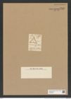 Triceratium denticulatum Grev. (de-Toni-Nr.: Genus 140, Species 3969) Zeichnungen Sammlung Grunow Nr. 7445 (NHMW-BOT-W0376533)
